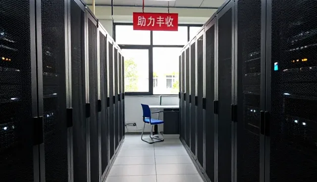 提升农产品产量的关键:科学种植技术的实践路径